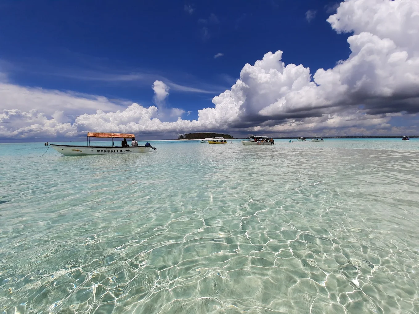 Mnemba Island Conservation Area – photo 8