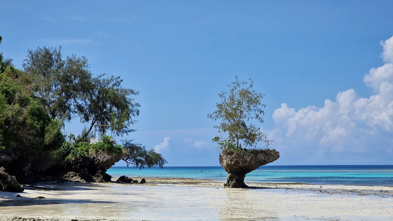 Pemba Island – photo 6