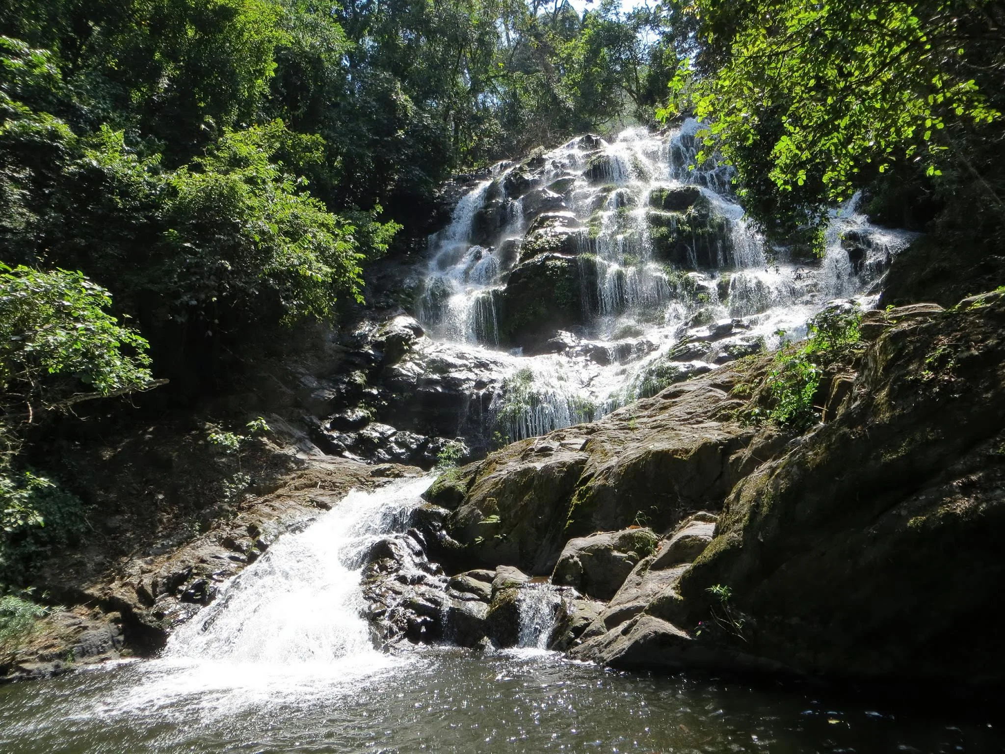 Udzungwa Mountains National Park – photo 16