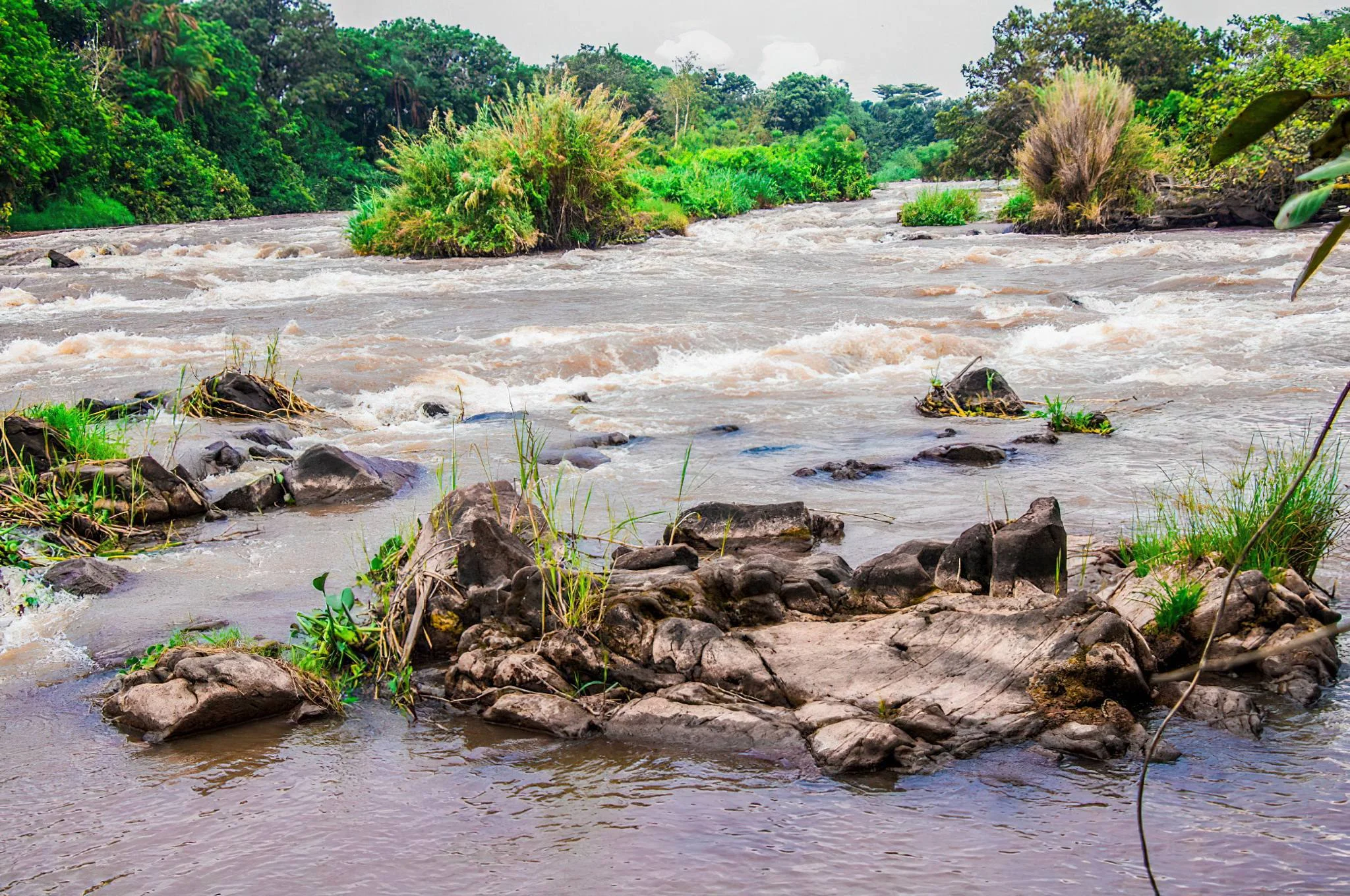 Ibanda-Kyerwa National Park – photo 10