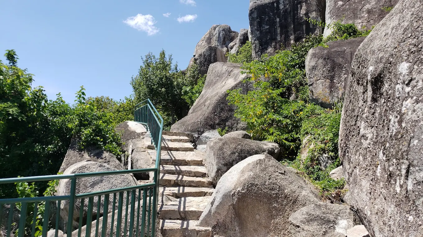 Saanane Island National Park – photo 11