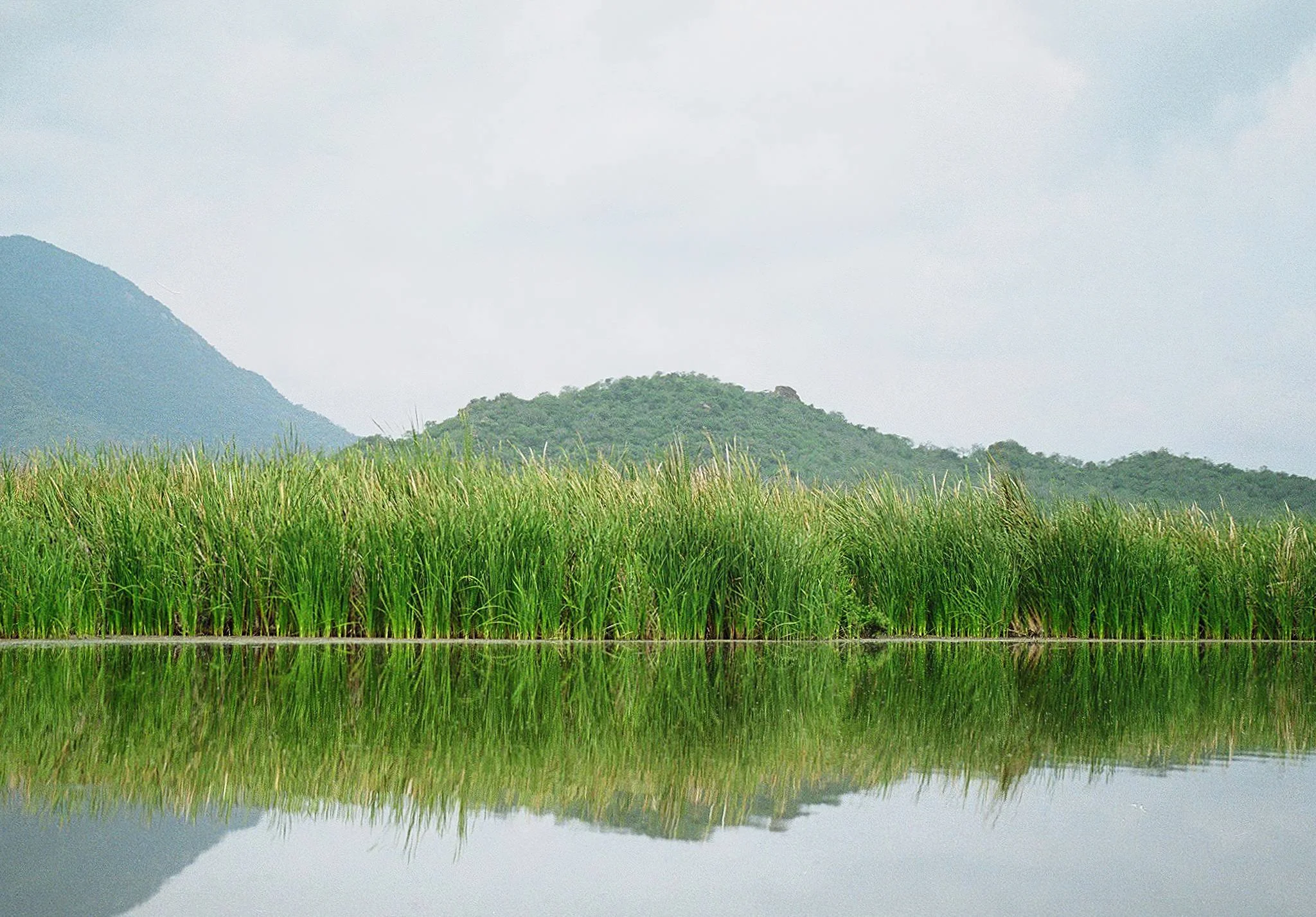 Lake Jipe – photo 12