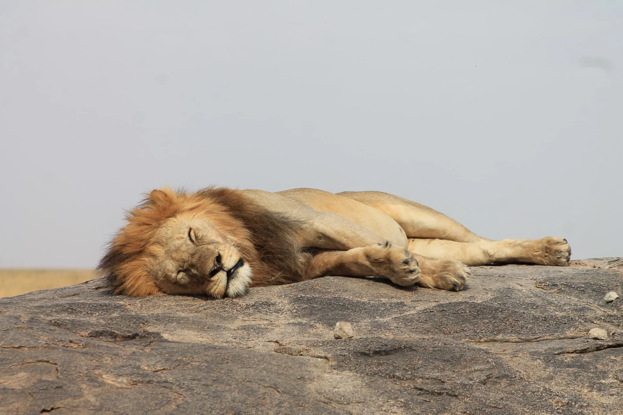 Serengeti National Park