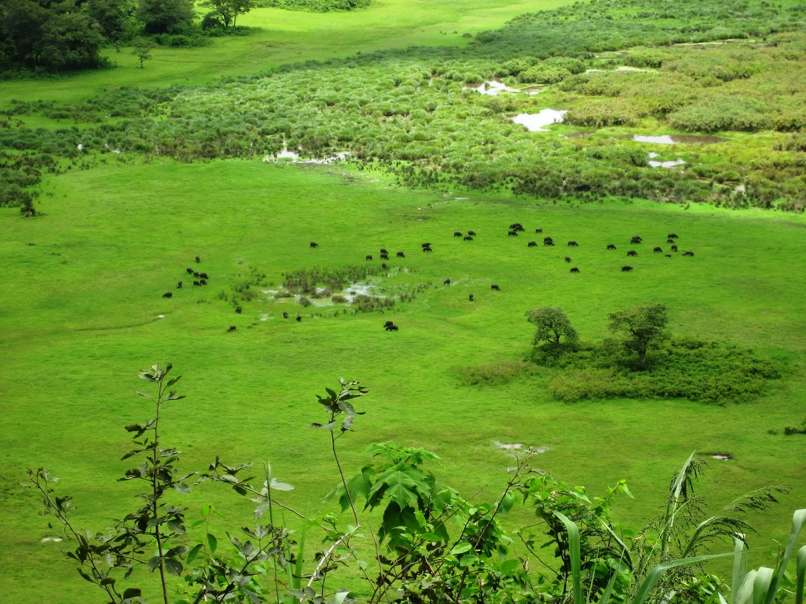 Ngurdoto Crater – photo 8