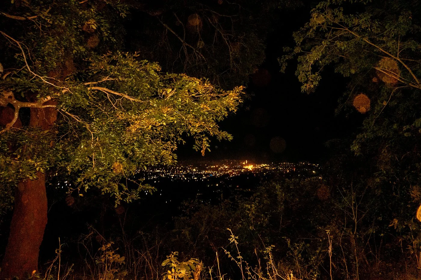 Uluguru Mountains – photo 17