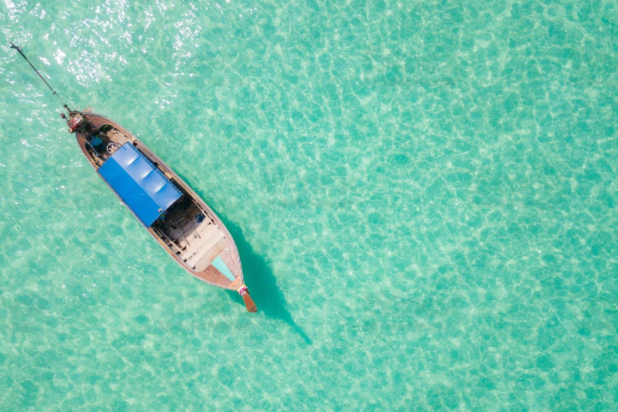 Mbudya Island Marine Reserve – photo 12