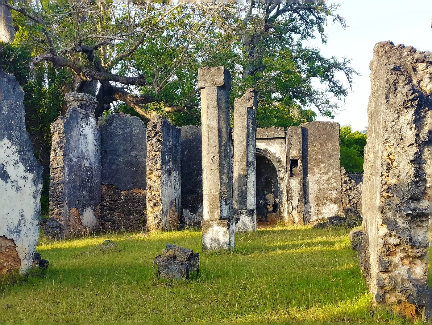 Tanga – photo 14