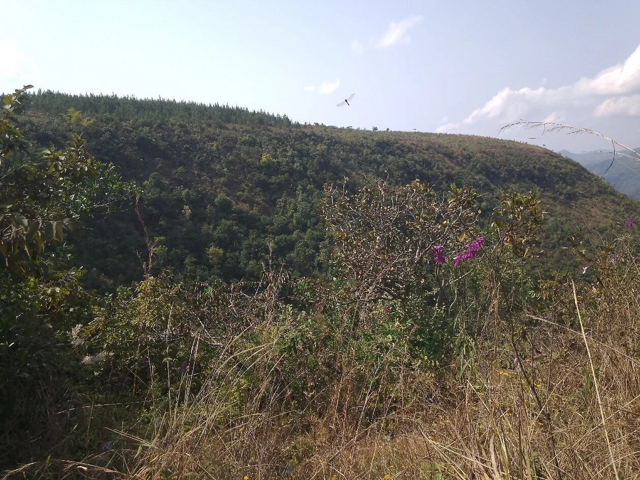 Kaporogwe Falls – photo 14