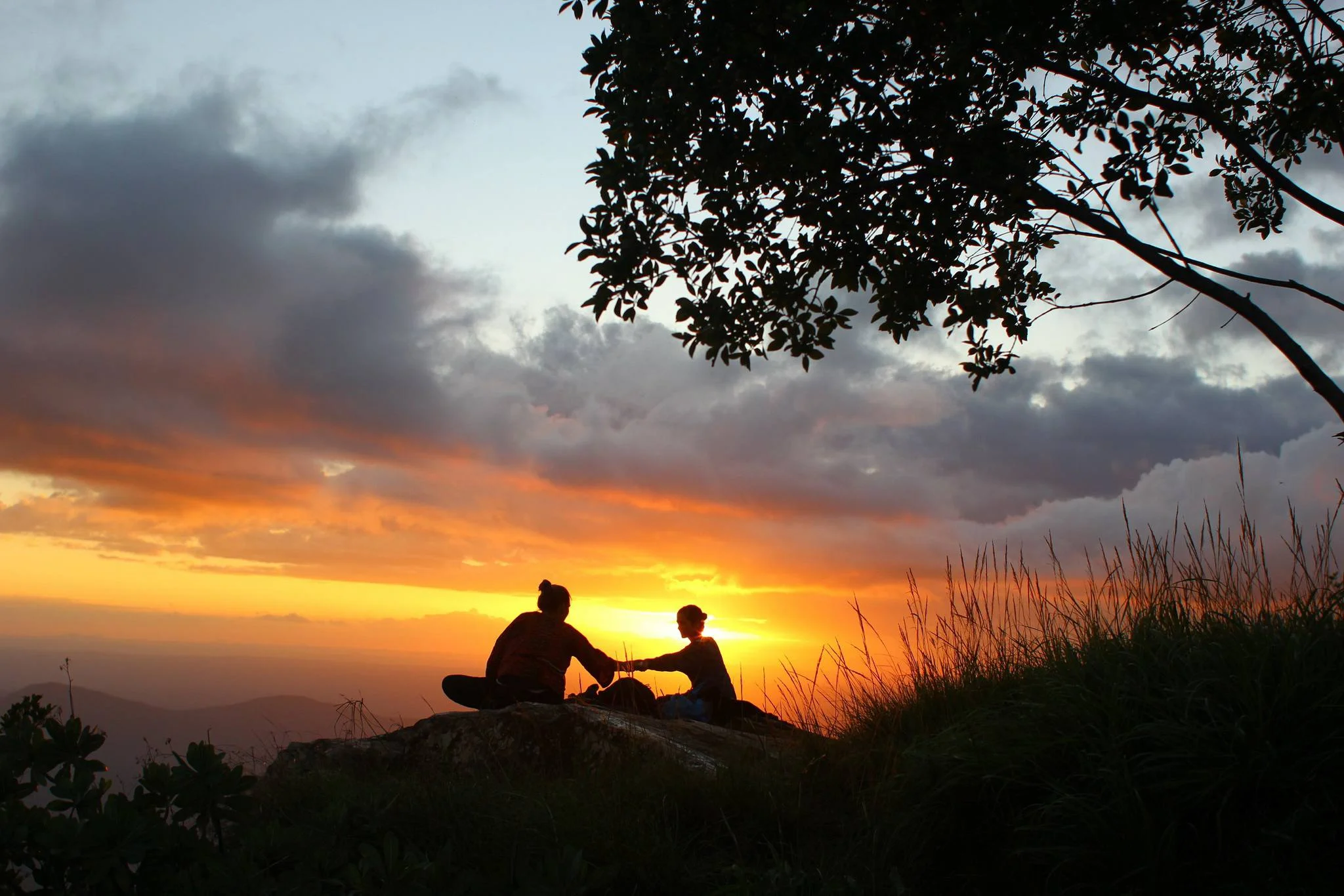 Usambara Mountains – photo 16
