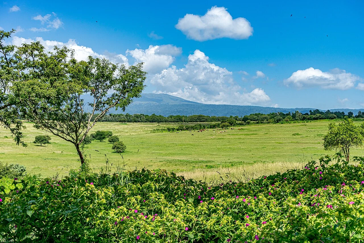 Karatu, Tanzania – photo 16