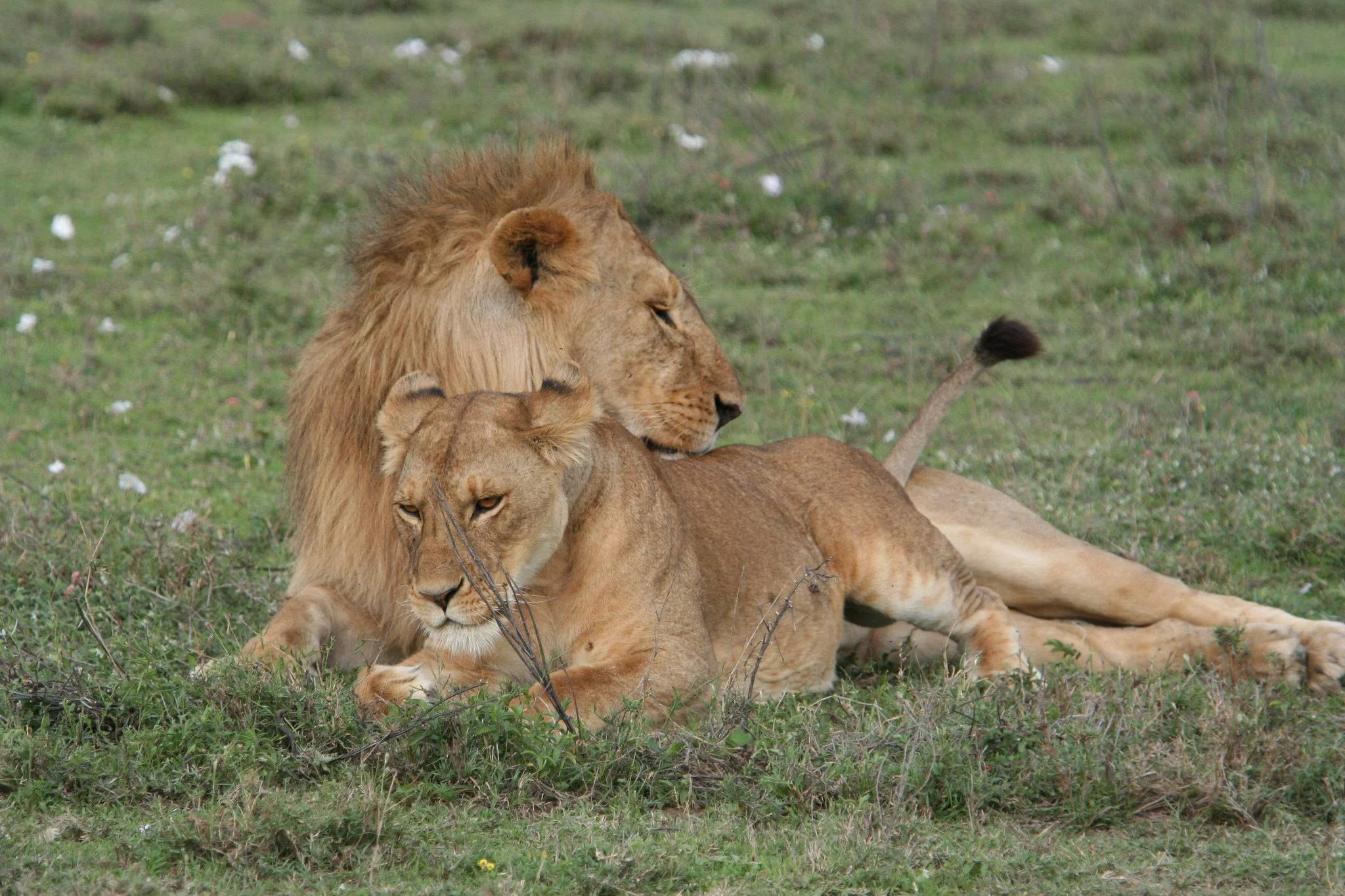 Katavi National Park – photo 22