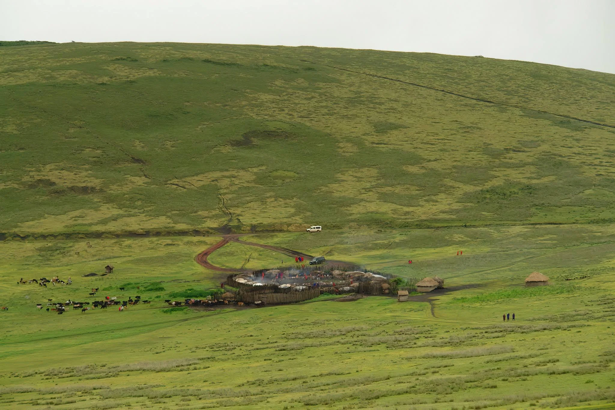 Ngorongoro Northern Highland Forest Reserve – photo 4