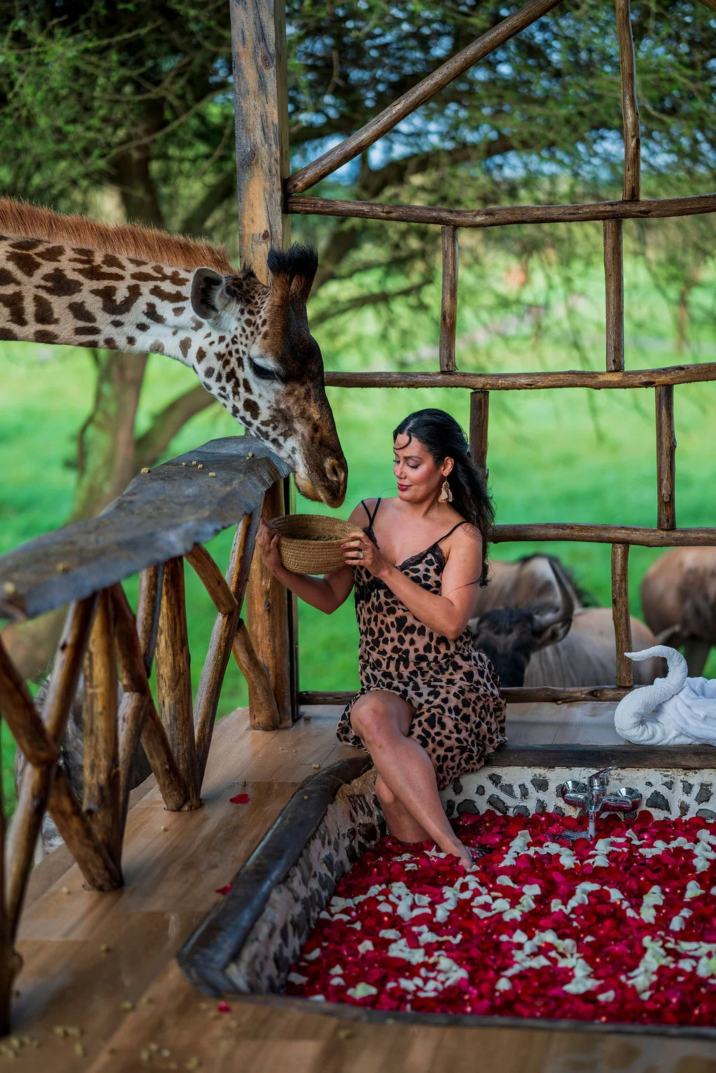 Serval Wildlife Sanctuary Tanzania