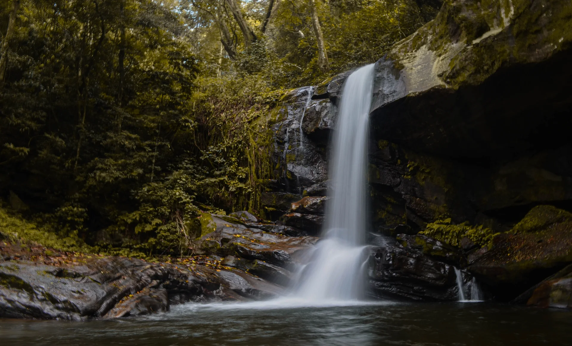 Udzungwa Mountains National Park