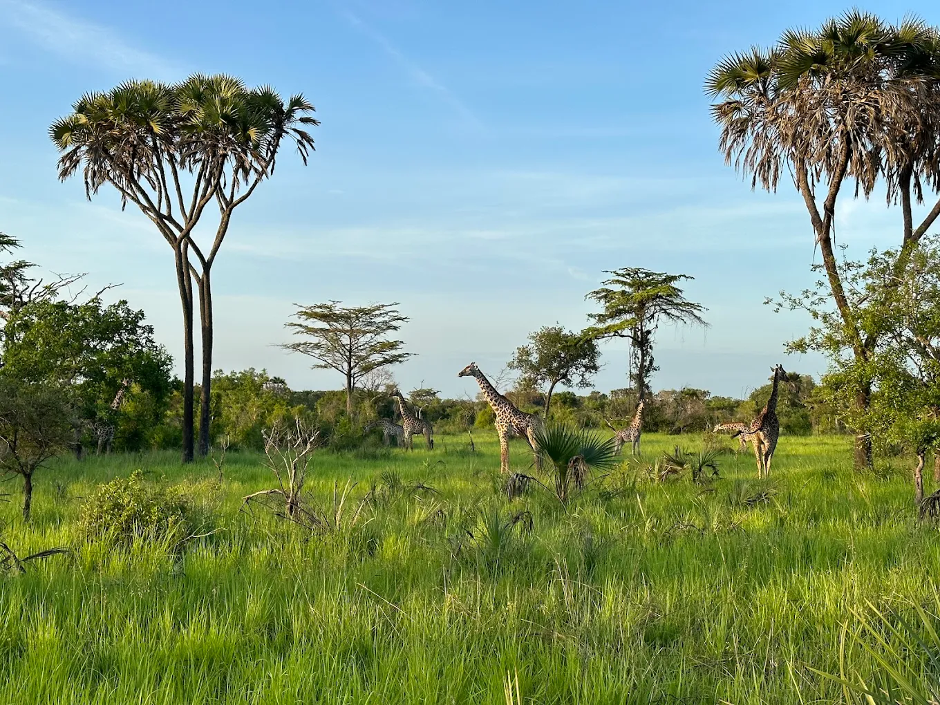 Saadani National Park – photo 27