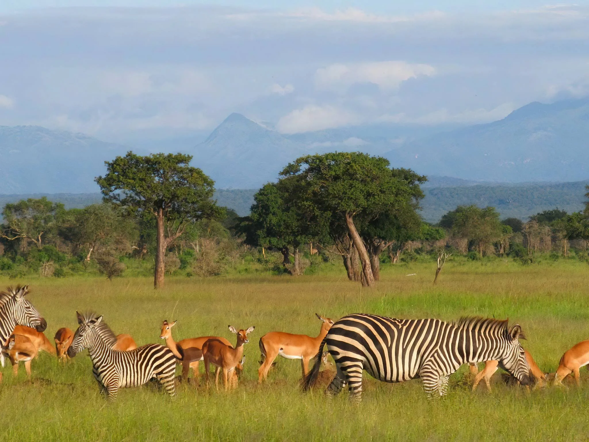 Mikumi National Park – photo 4