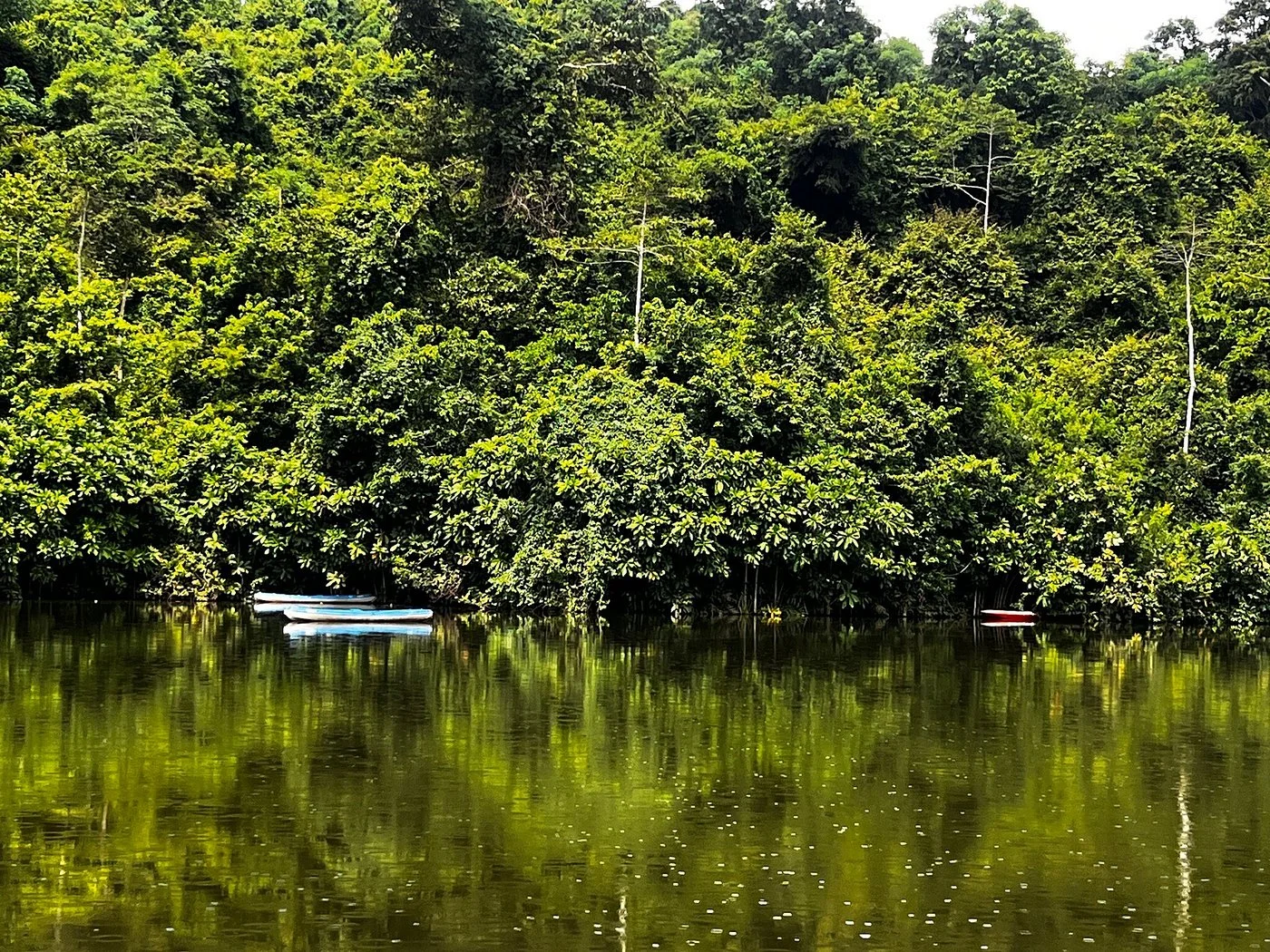 Pugu Kazimzumbwi Nature Forest Reserve – photo 43