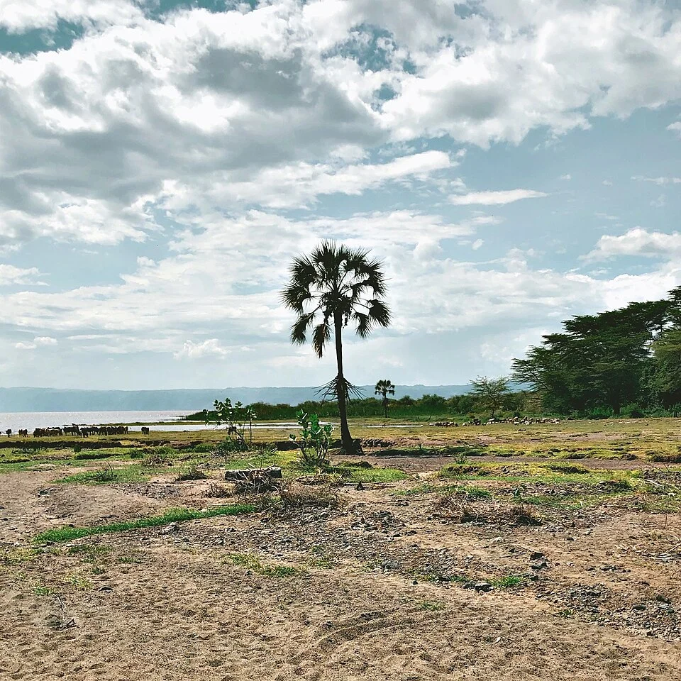 Karatu, Tanzania – photo 14