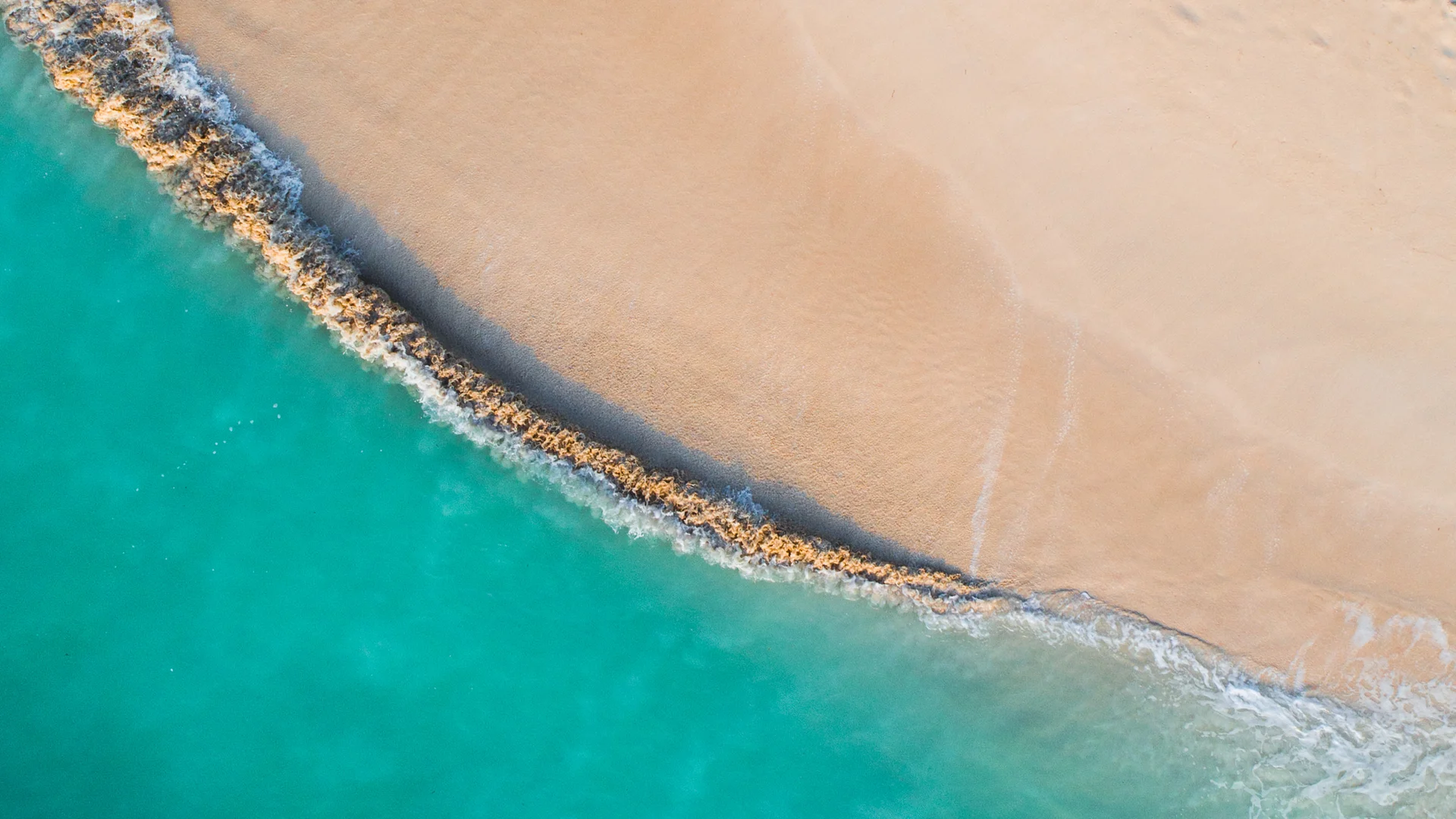 Mbudya Island Marine Reserve