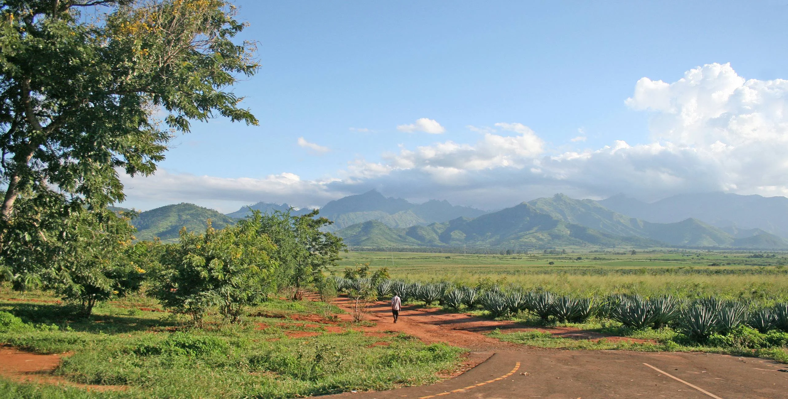 Uluguru Mountains – photo 33