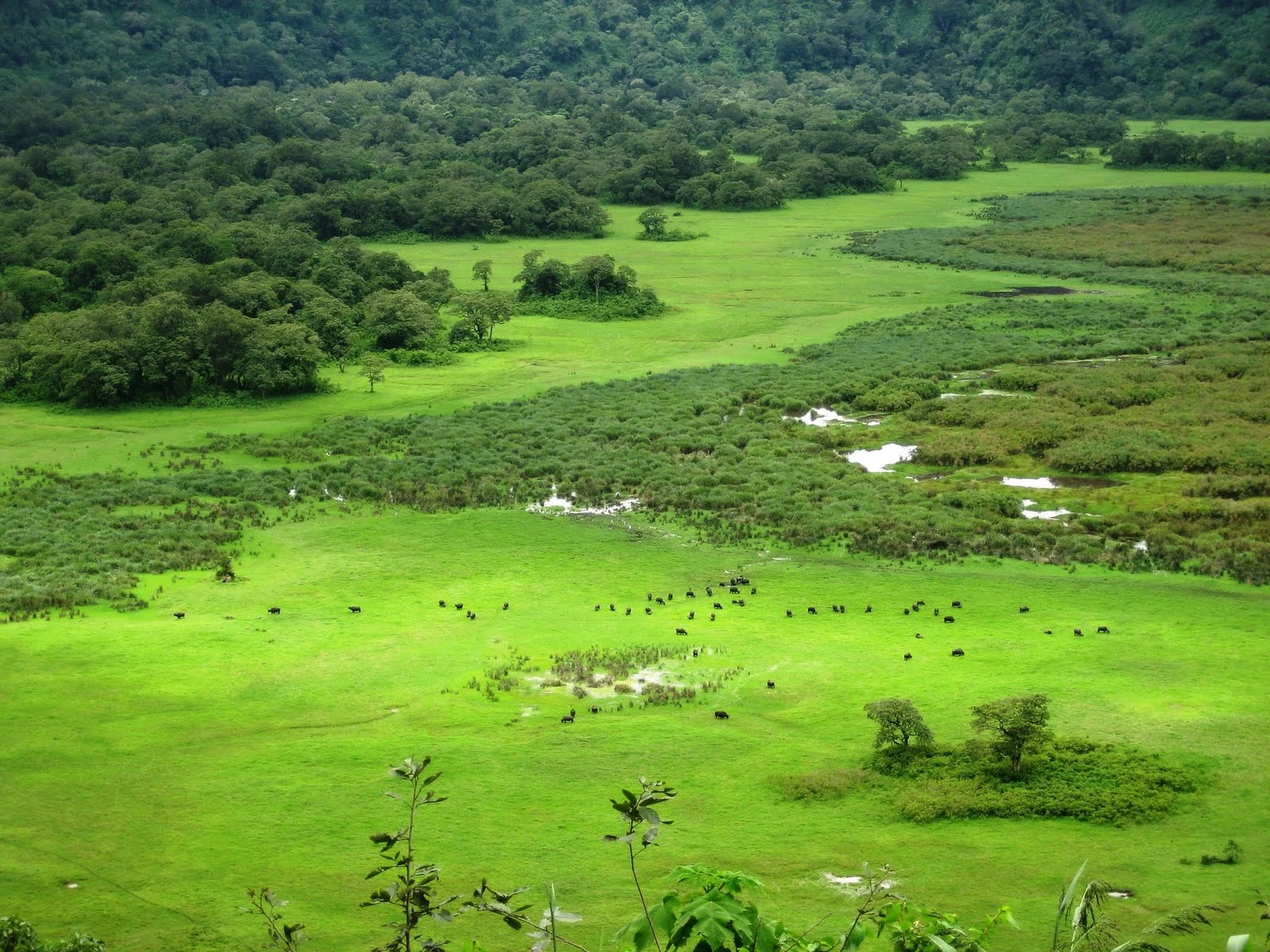 Ngurdoto Crater – photo 9