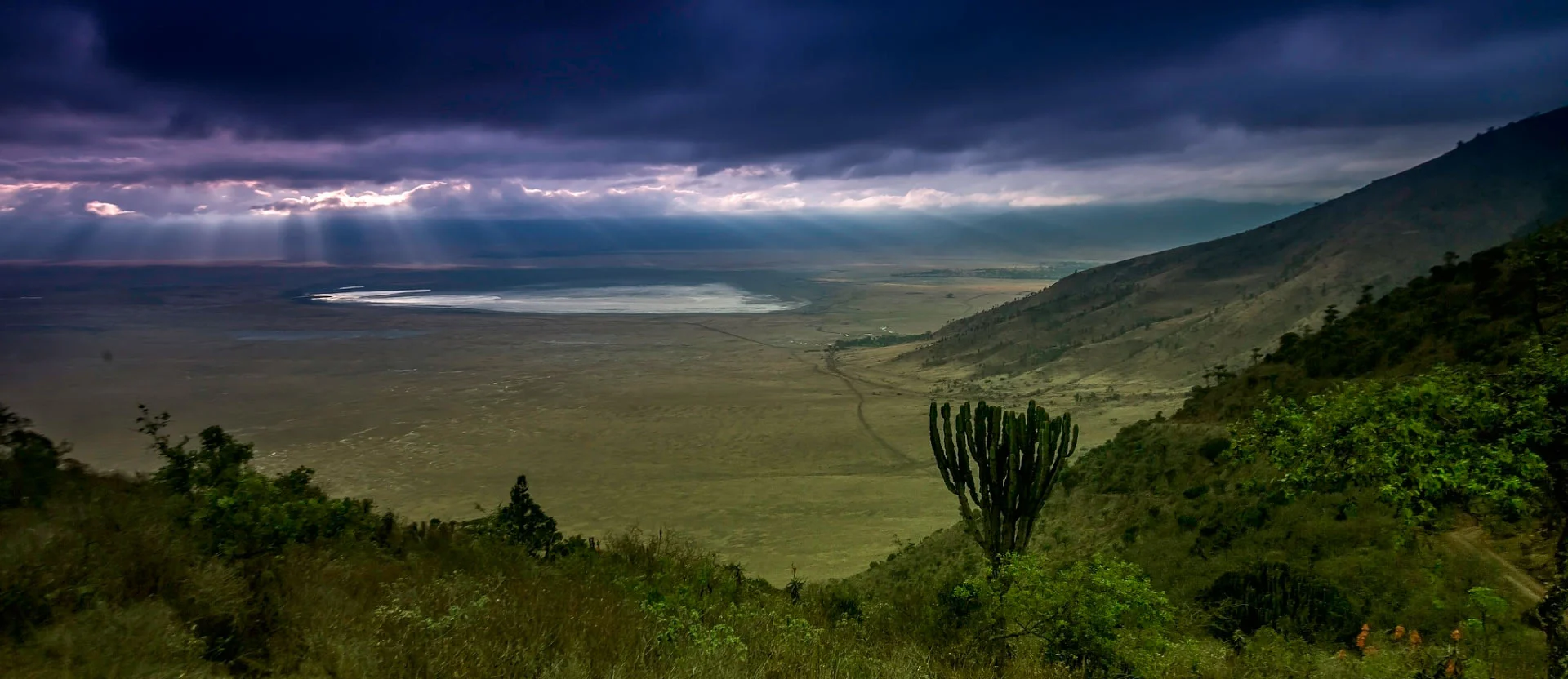 Ngorongoro Northern Highland Forest Reserve – photo 3