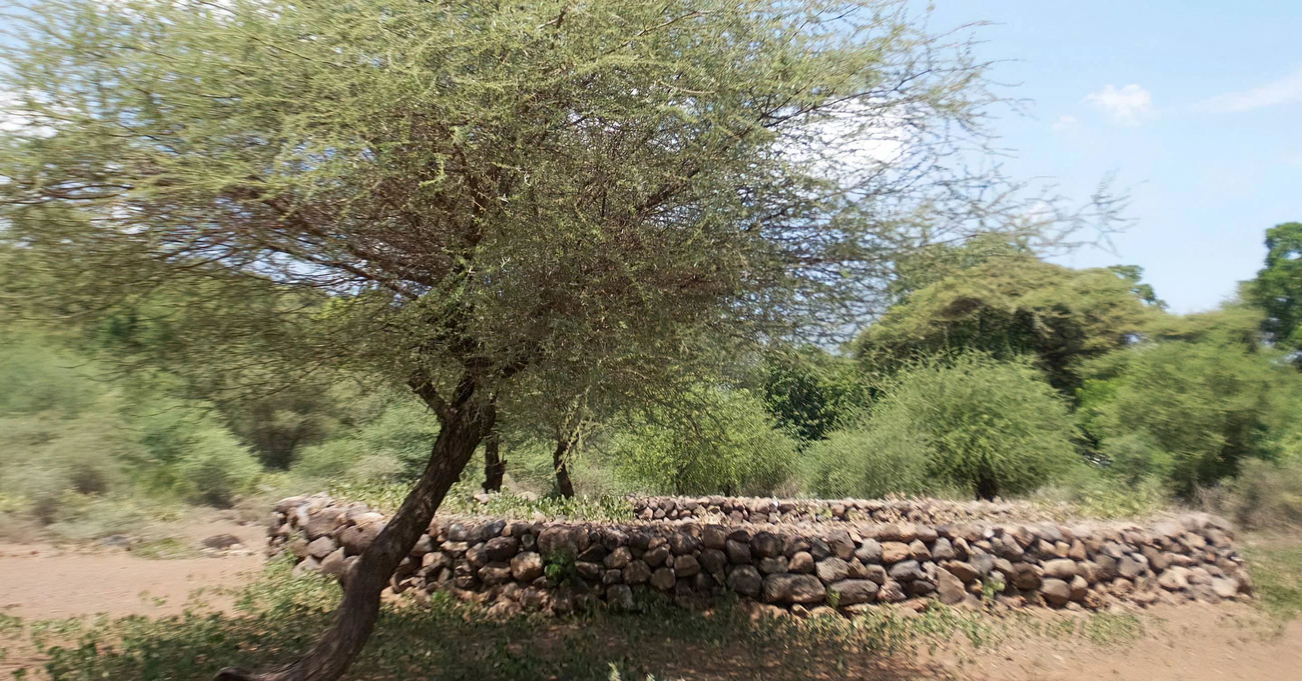 Engaruka Ruins