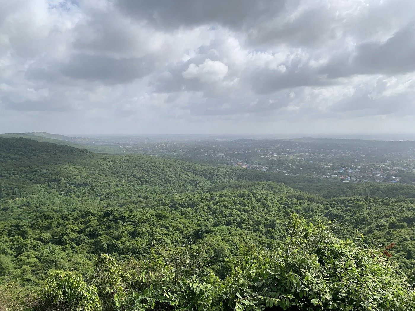 Pugu Kazimzumbwi Nature Forest Reserve – photo 28