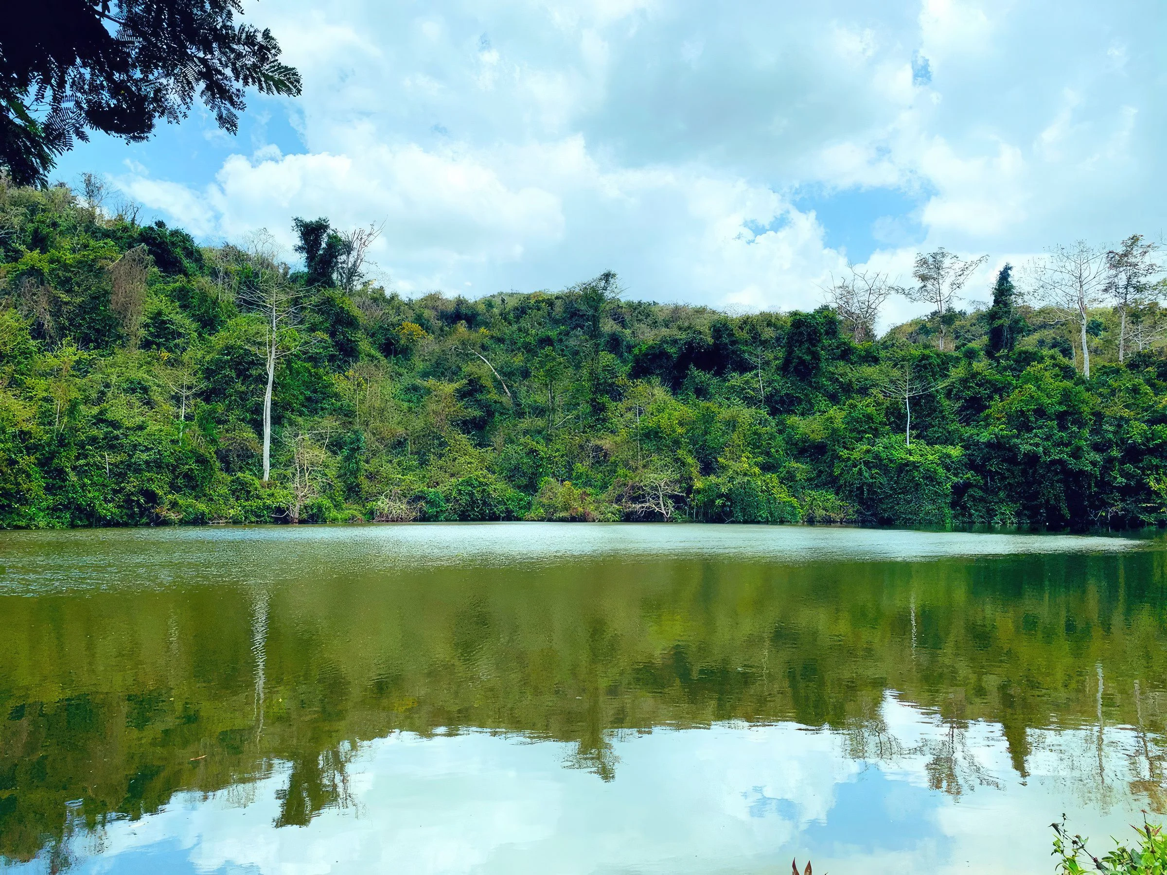 Pugu Kazimzumbwi Nature Forest Reserve – photo 52