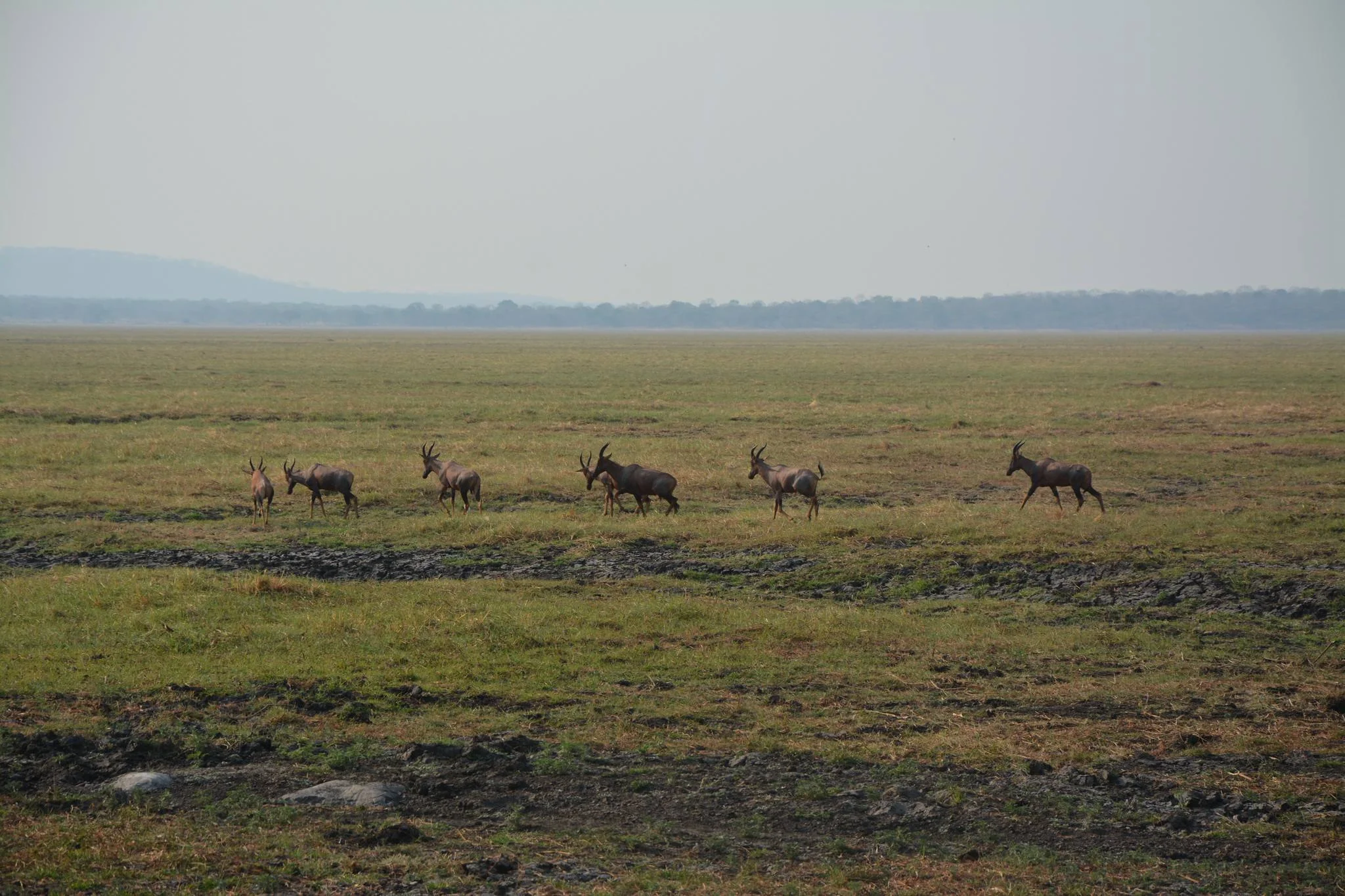 Katavi National Park – photo 17