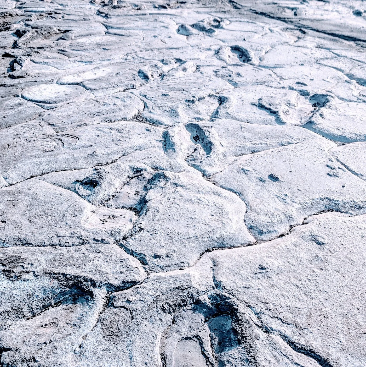 Close-up of fossilized hominid footprints embedded in cracked volcanic ash sediment at Engaresero, Tanzania.