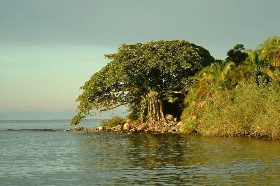 Rubondo Island National Park – photo 6