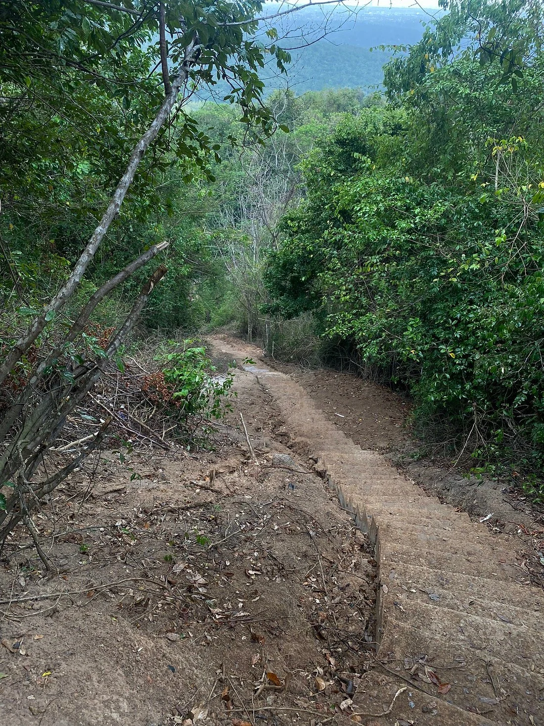 Pugu Kazimzumbwi Nature Forest Reserve – photo 46