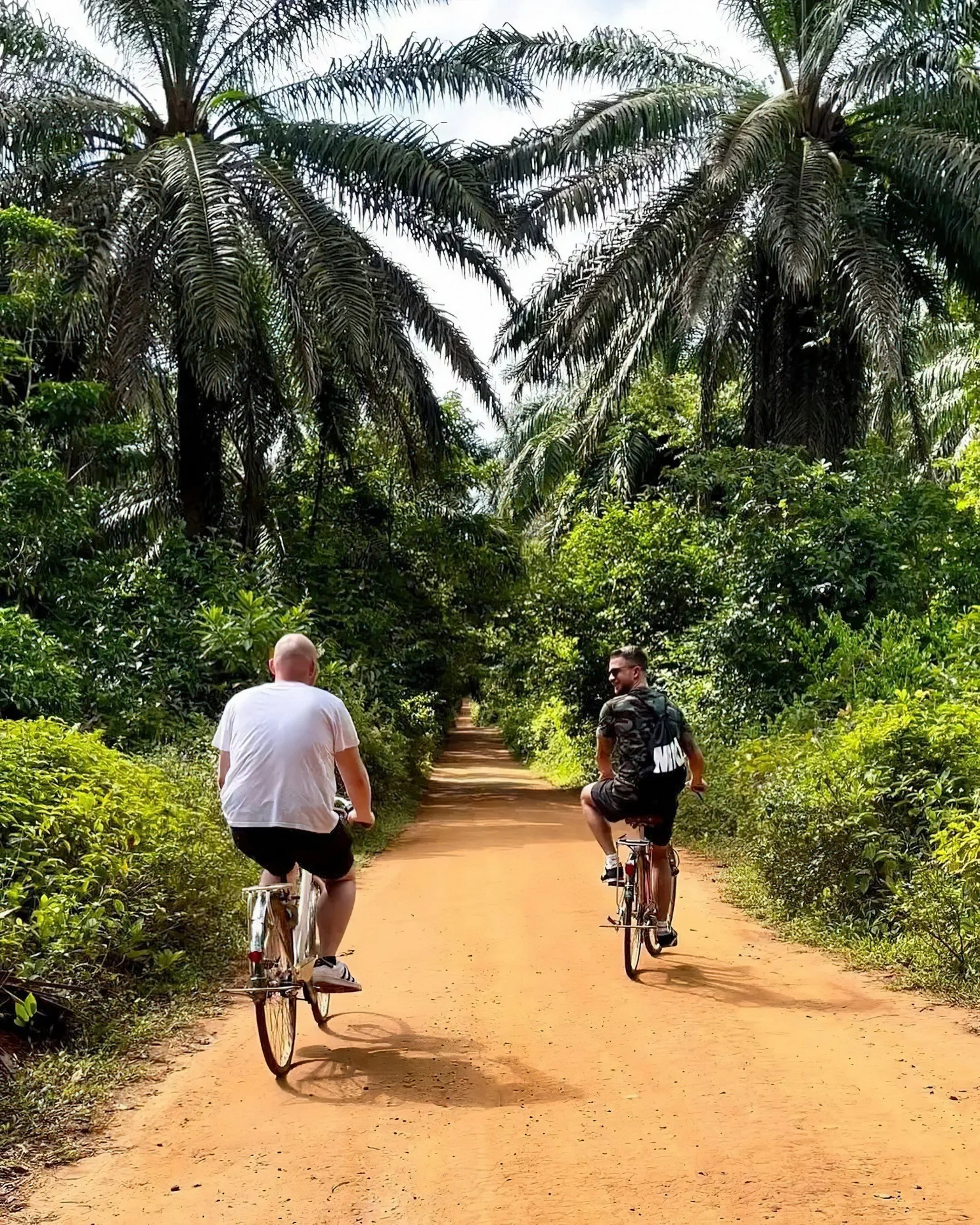 Cyclists riding mountain bikes along a scenic dirt path through lush forest.