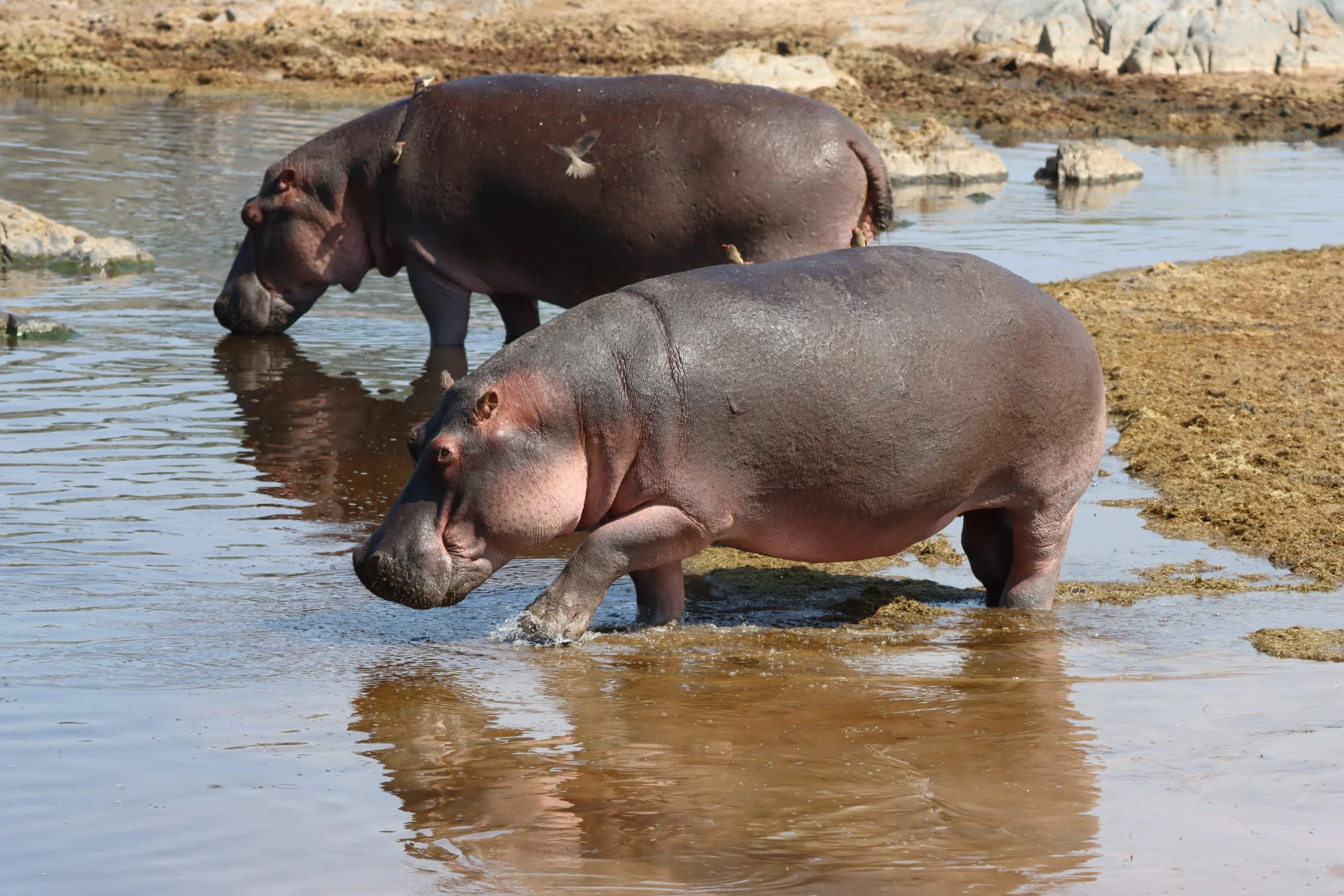 Serengeti National Park