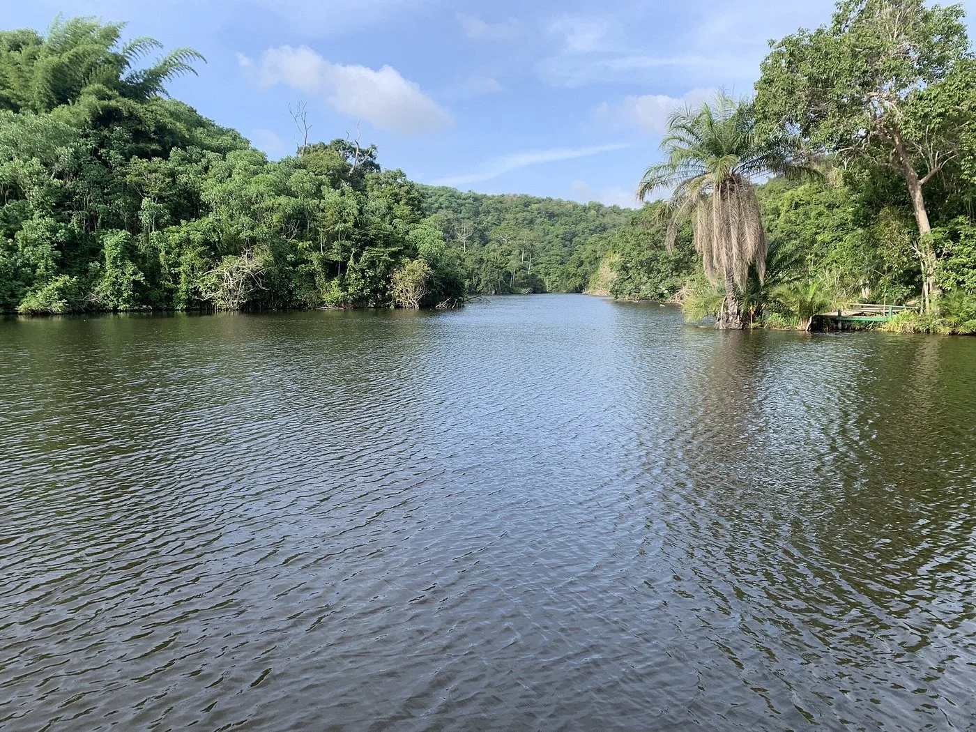 Pugu Kazimzumbwi Nature Forest Reserve – photo 34