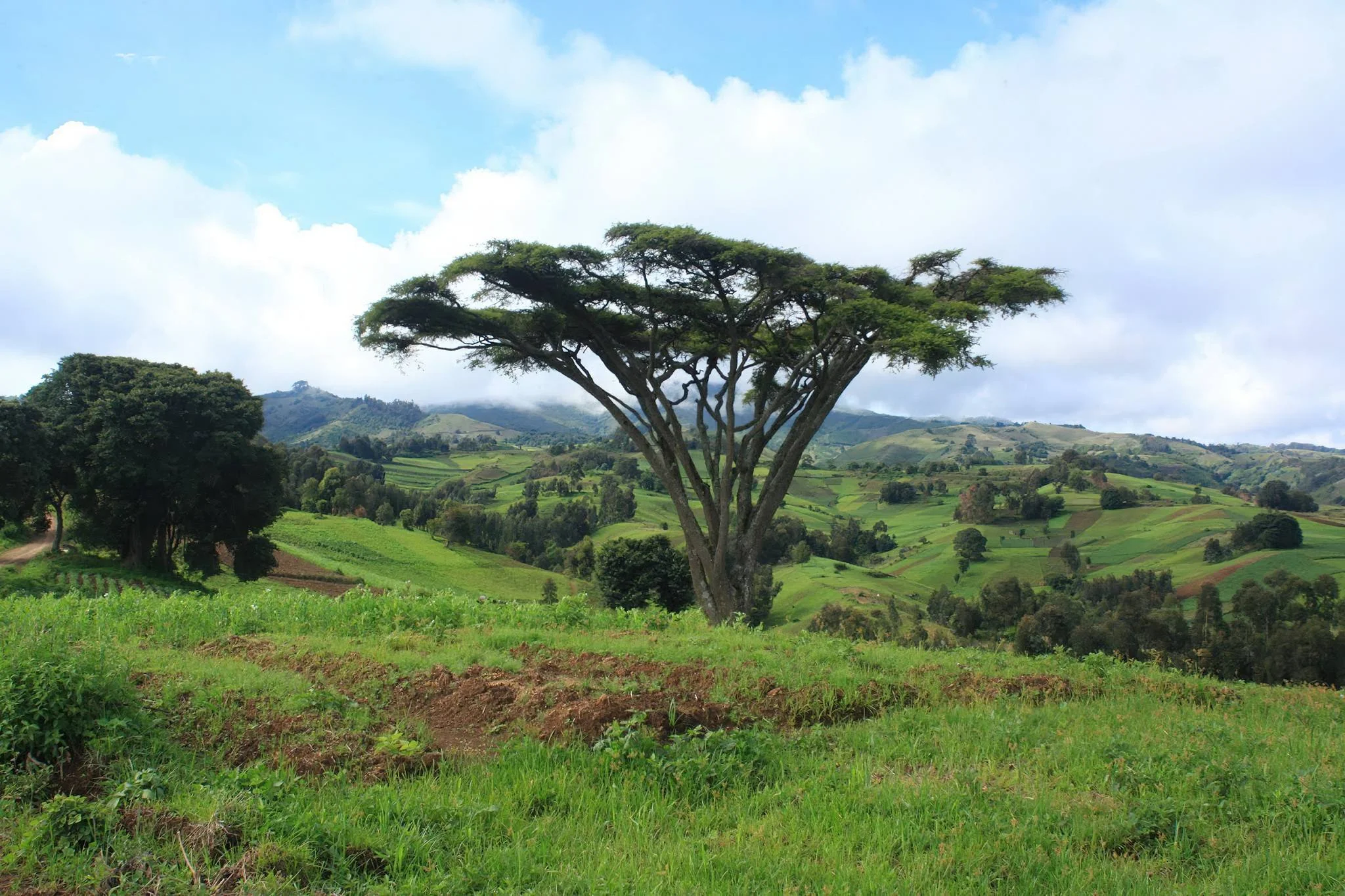 Lake Ngozi – photo 24