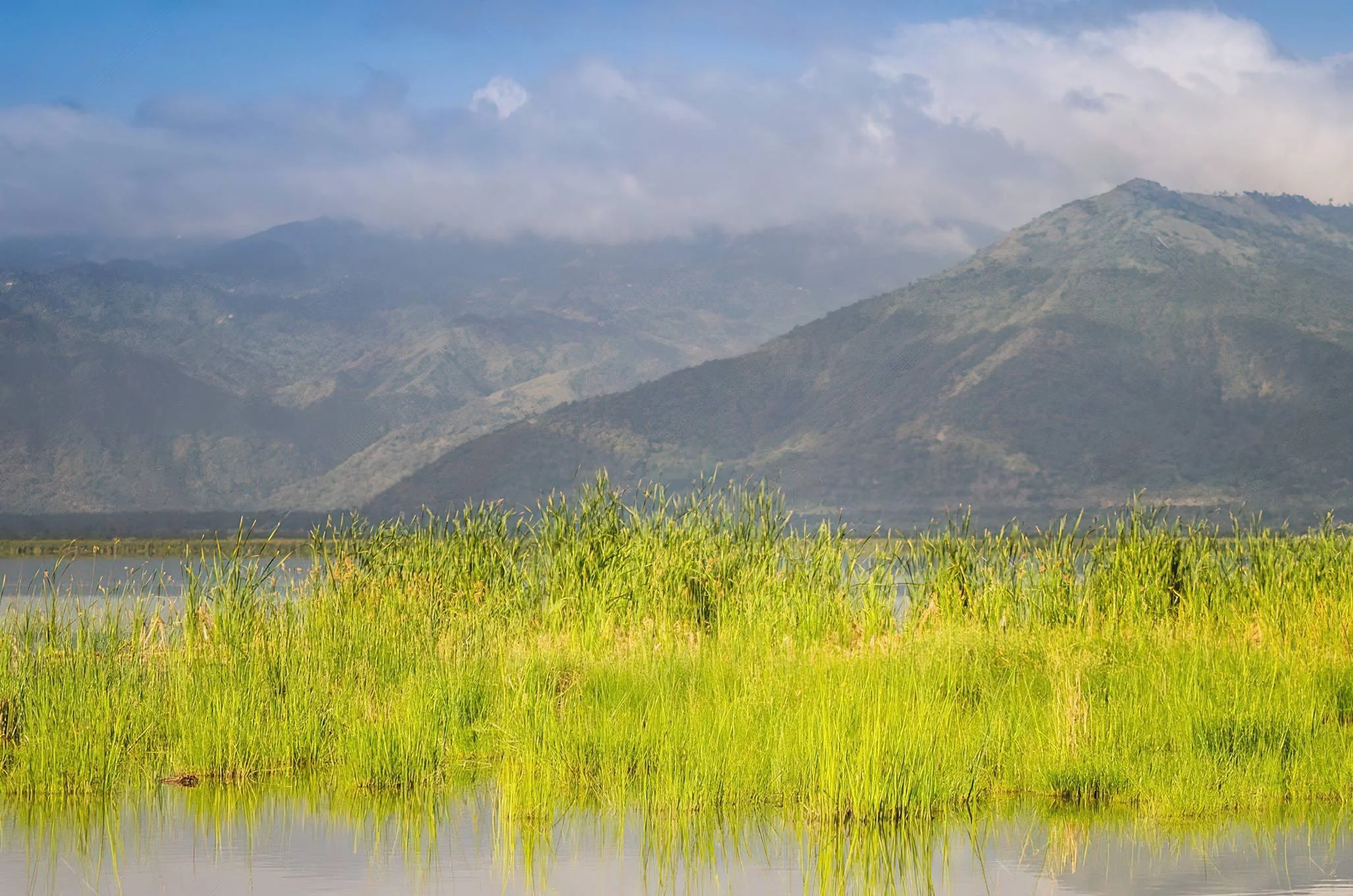 Lake Jipe – photo 11