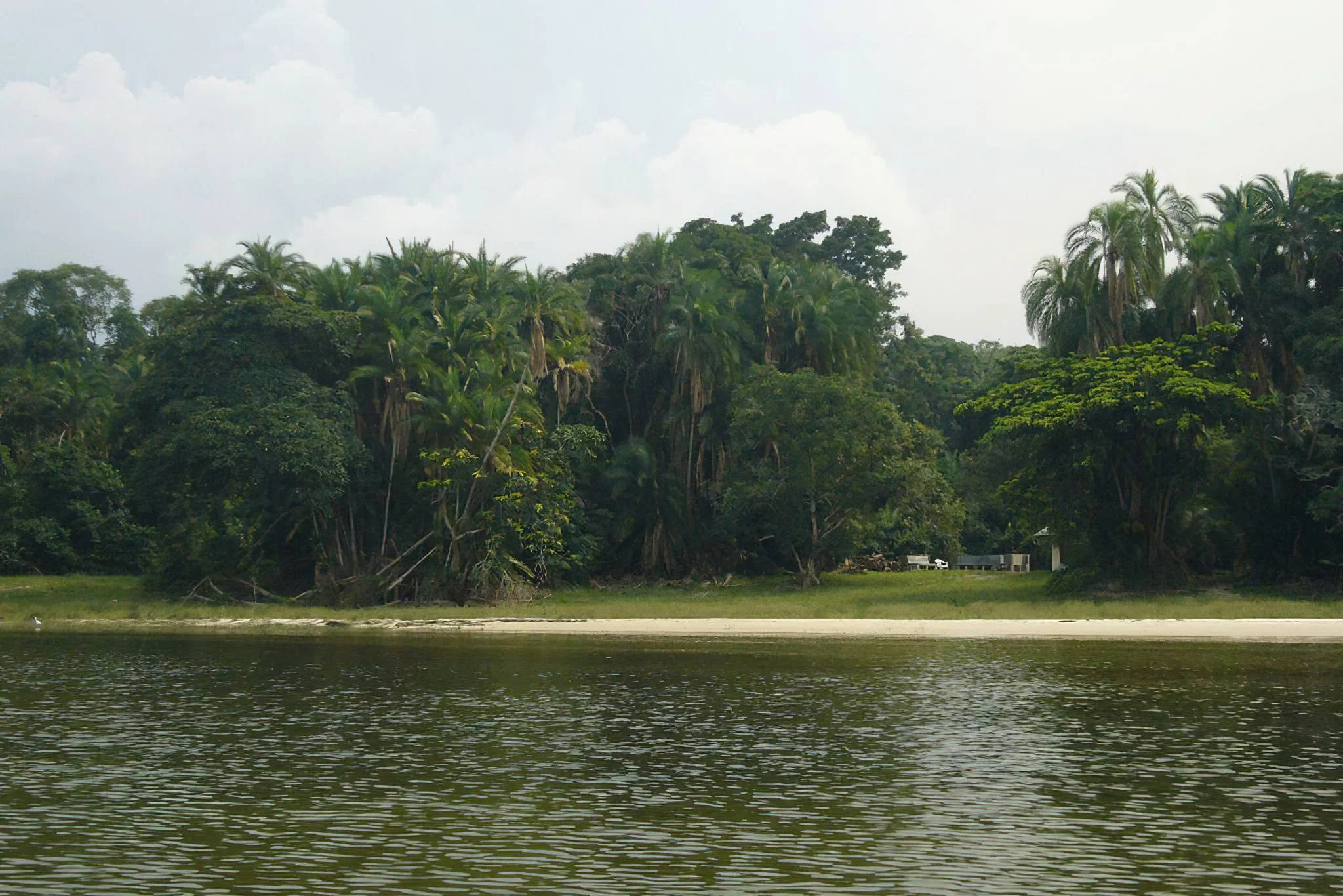 Rubondo Island National Park – photo 13