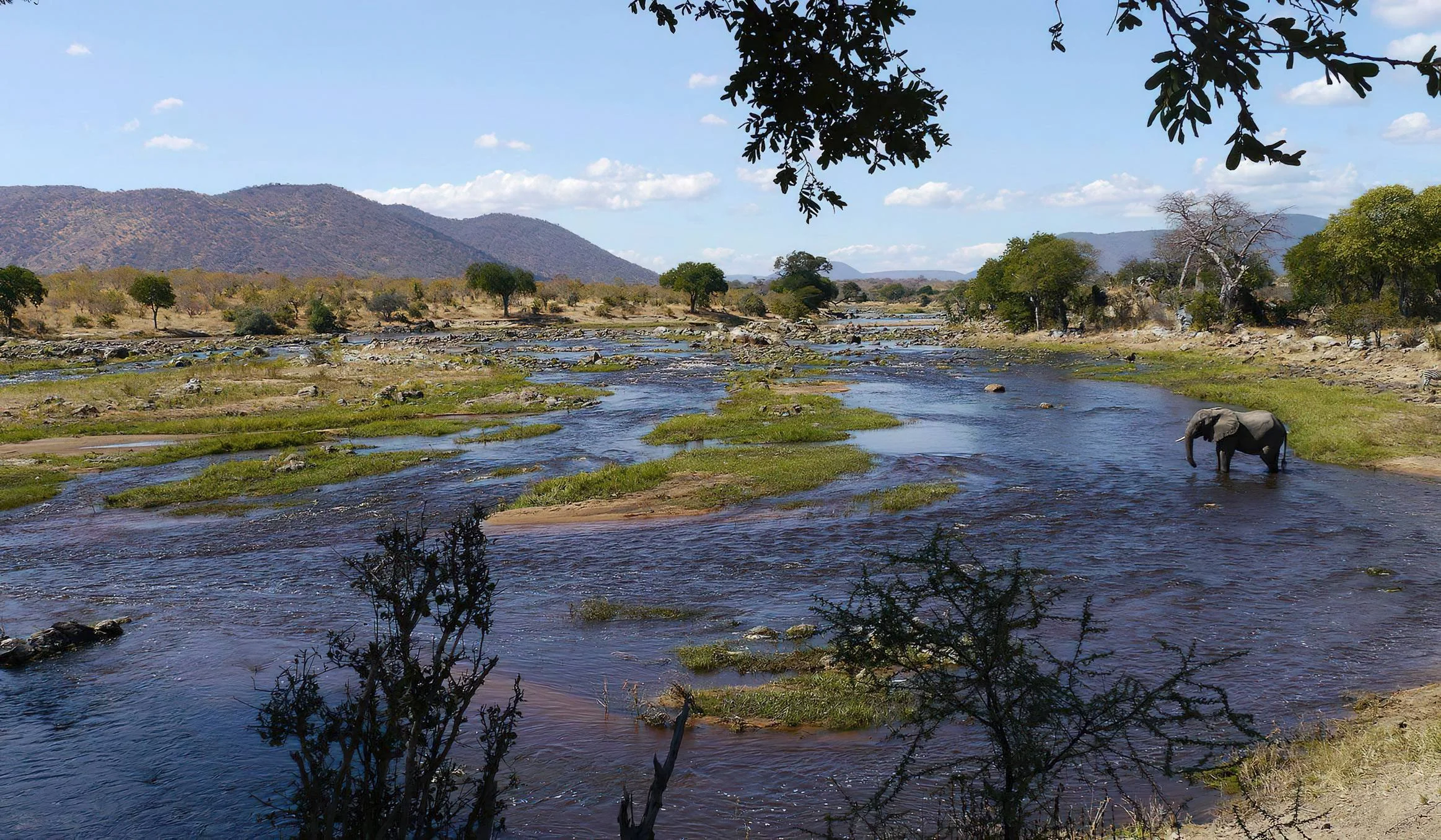 An elephant stands in the flowing Ruaha River surrounded by green vegetation and hills.