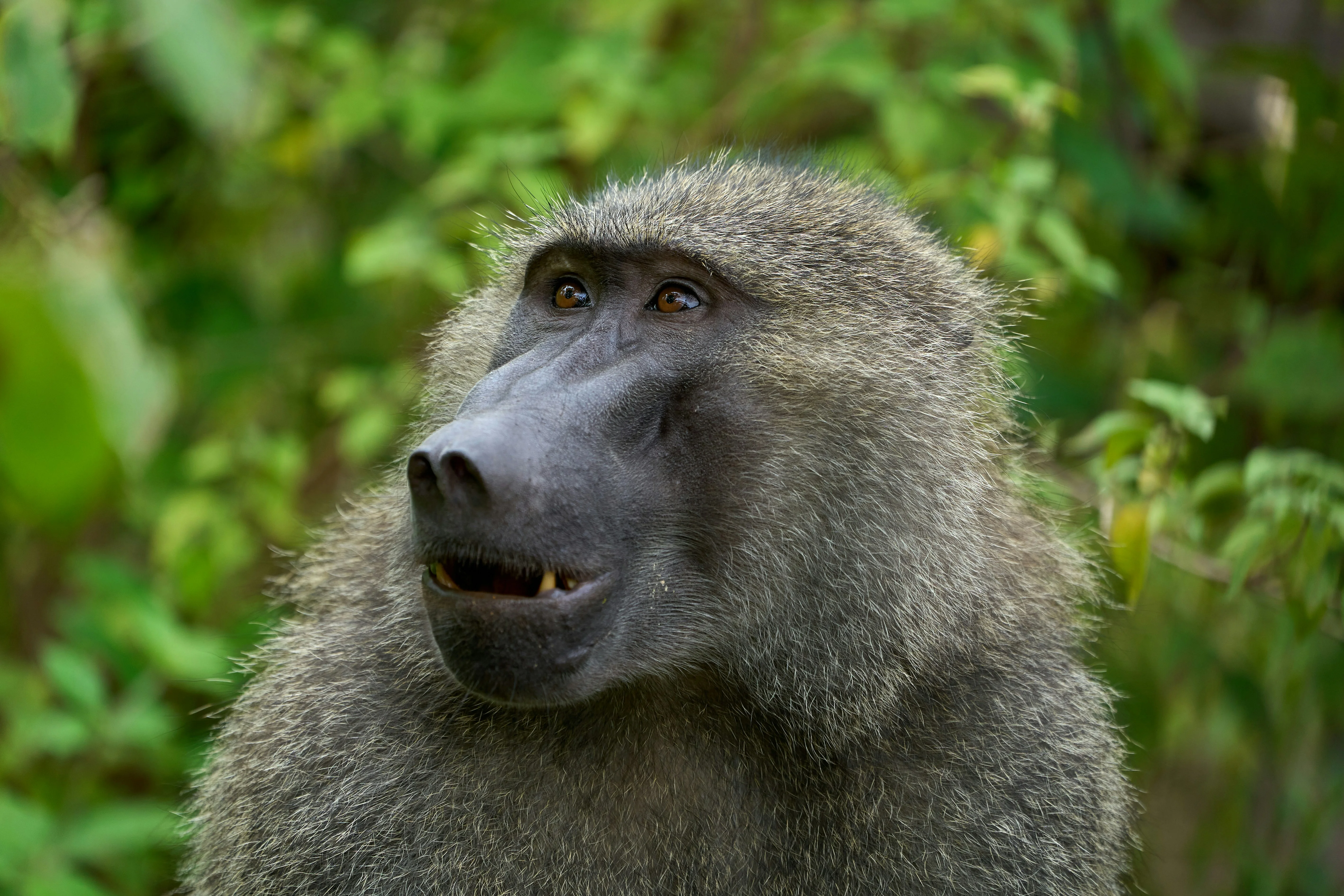 Lake Manyara National Park