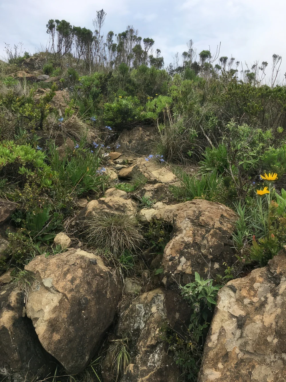 Mount Hanang – photo 15