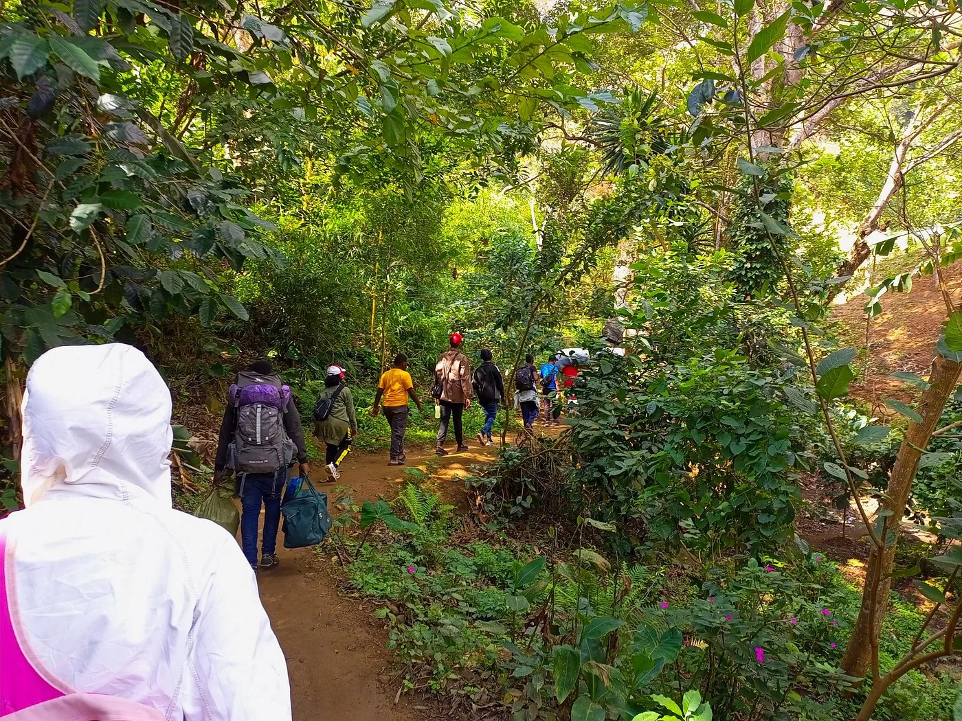 Uluguru Mountains – photo 28