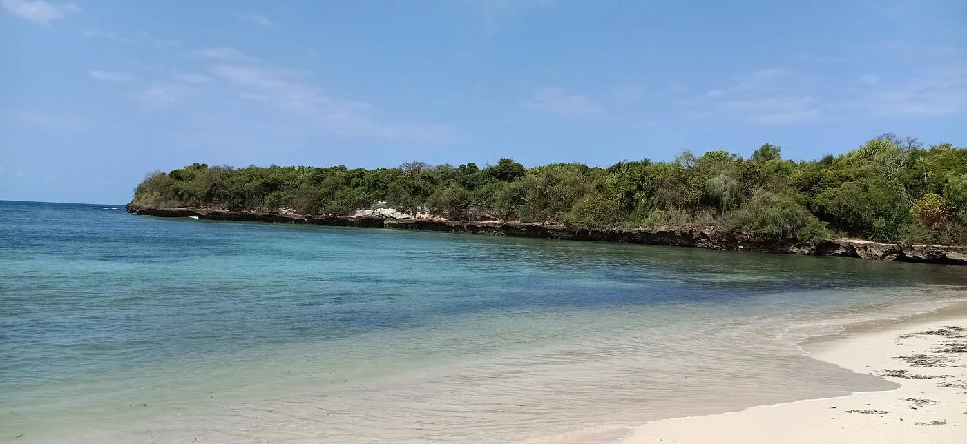 Bongoyo Island Marine Reserve – photo 8