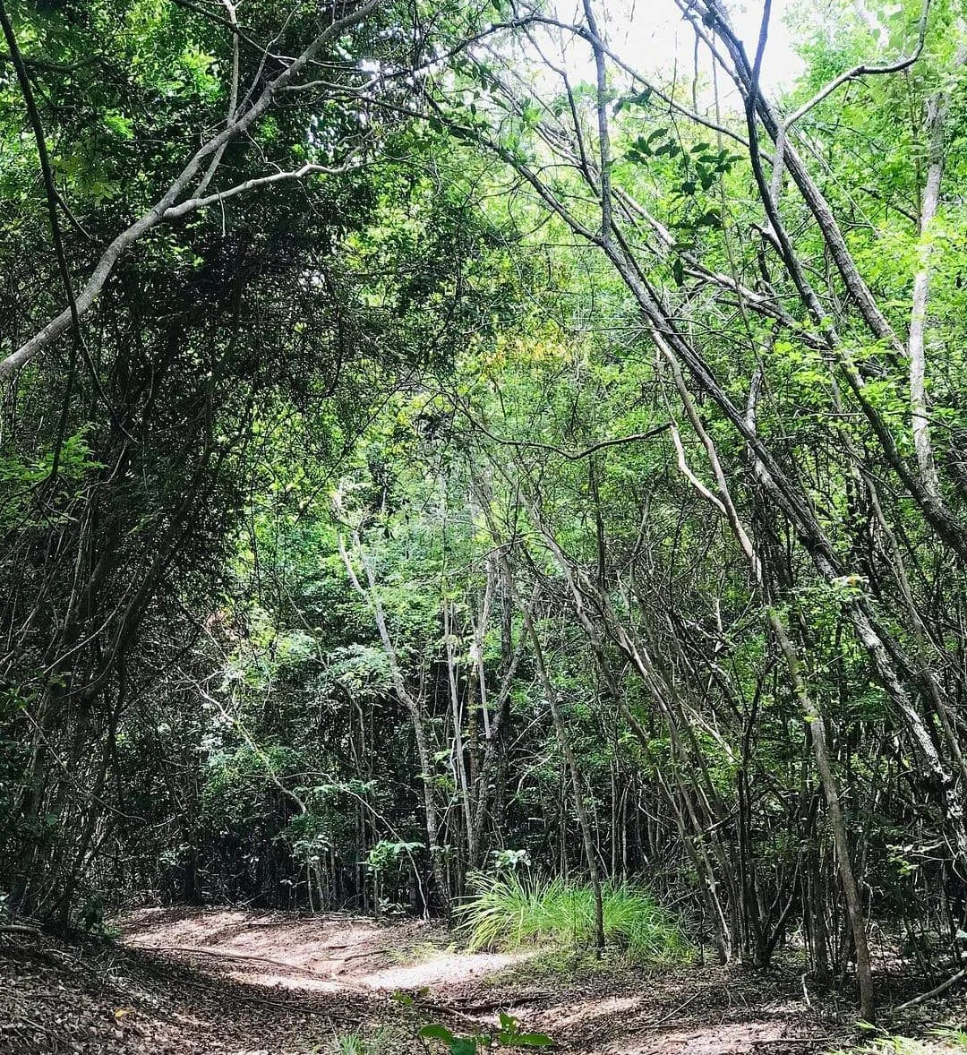 Pugu Kazimzumbwi Nature Forest Reserve – photo 35