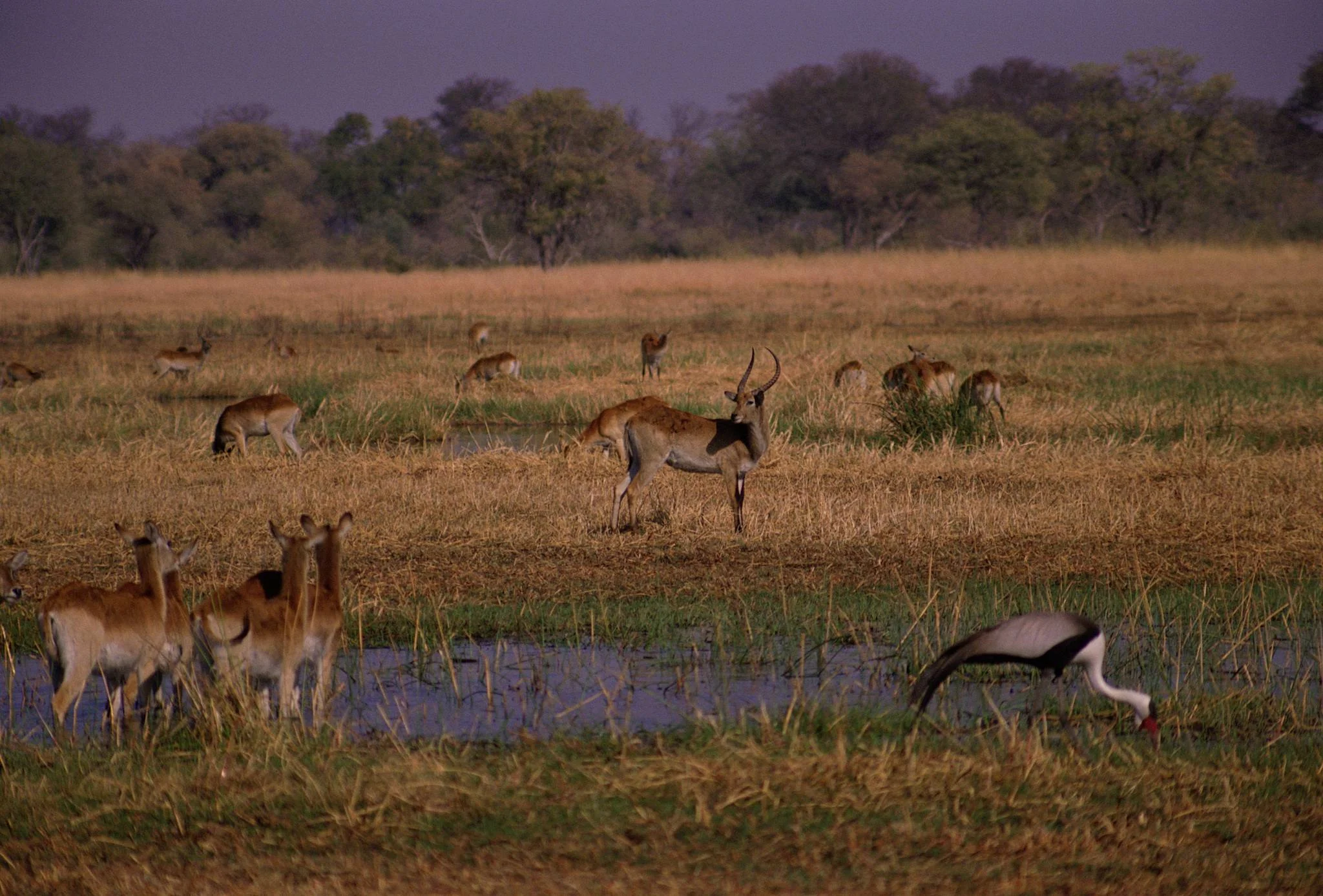 Ibanda-Kyerwa National Park – photo 14