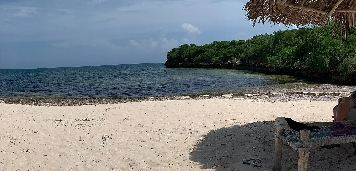 Bongoyo Island Marine Reserve – photo 9