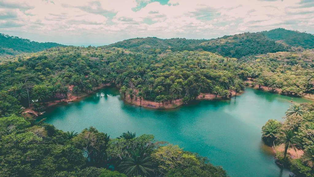 Aerial drone shot of a scenic turquoise lake nestled inside dense green woodlands.