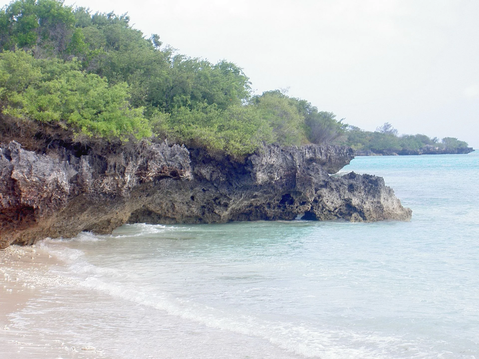 Pangavini Island Marine Reserve – photo 4