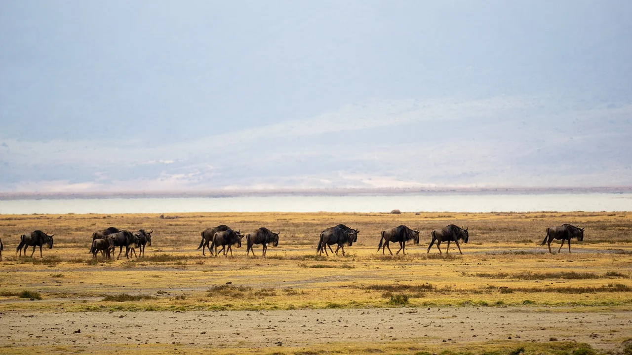 Karatu, Tanzania – photo 8